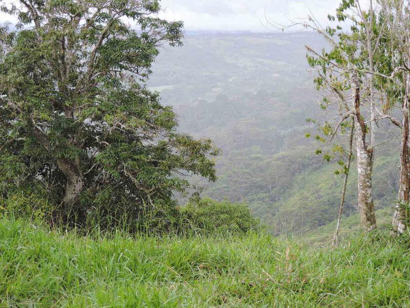 0 bed Lot/Land For Sale in San Isidro-Perez Zeledon,  - 1